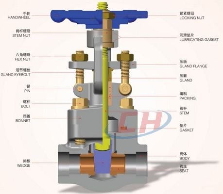 不锈钢内螺纹闸阀三维图